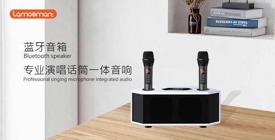 Professional singing speaker